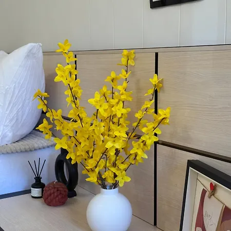 Dayanas ヴァルナ